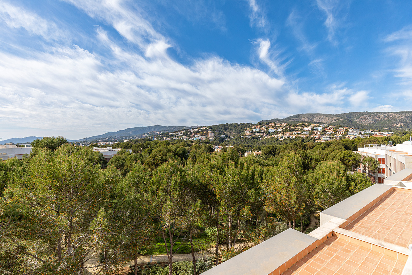 Penthouse, Bendinat