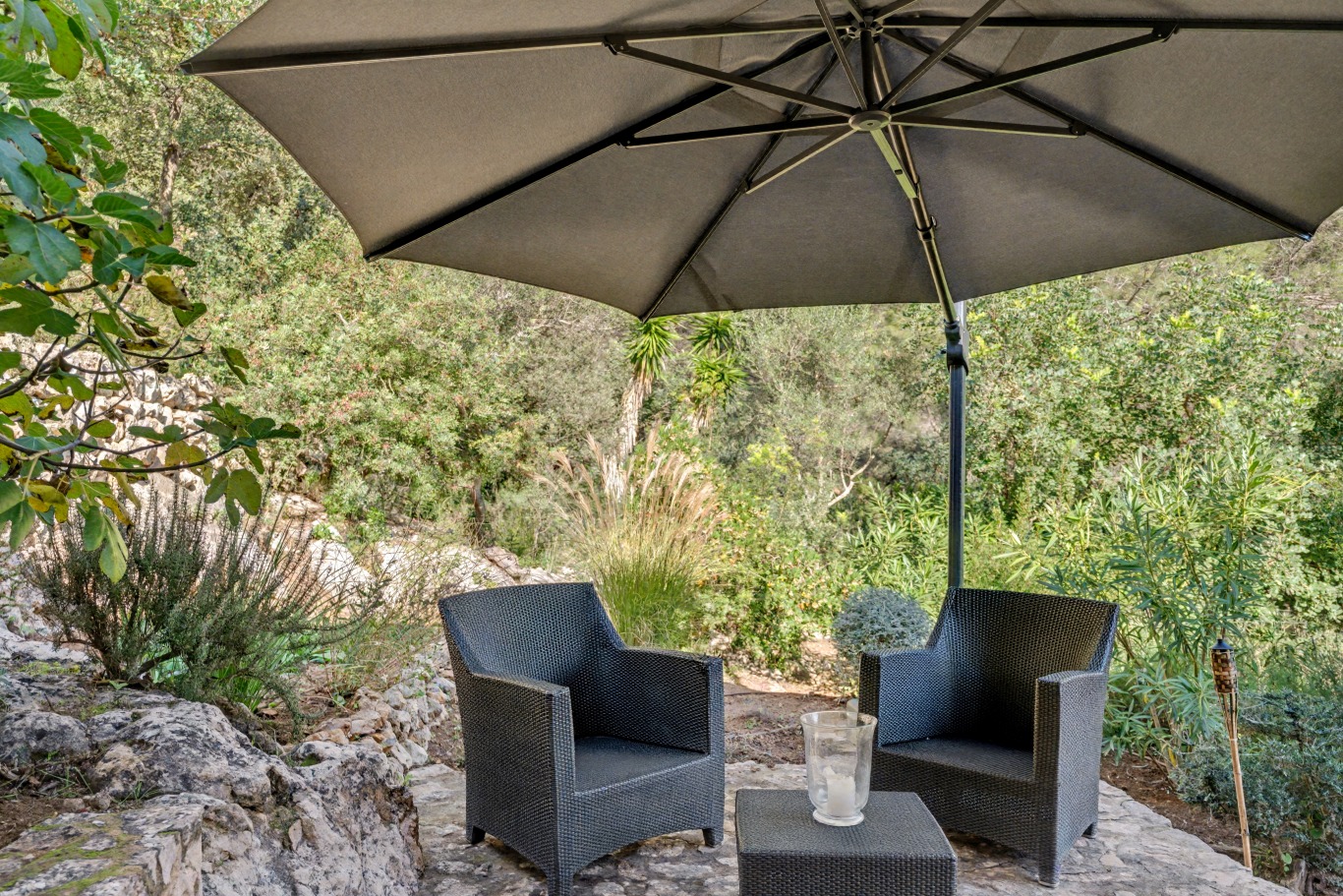 Finca, Santa Maria del Cami