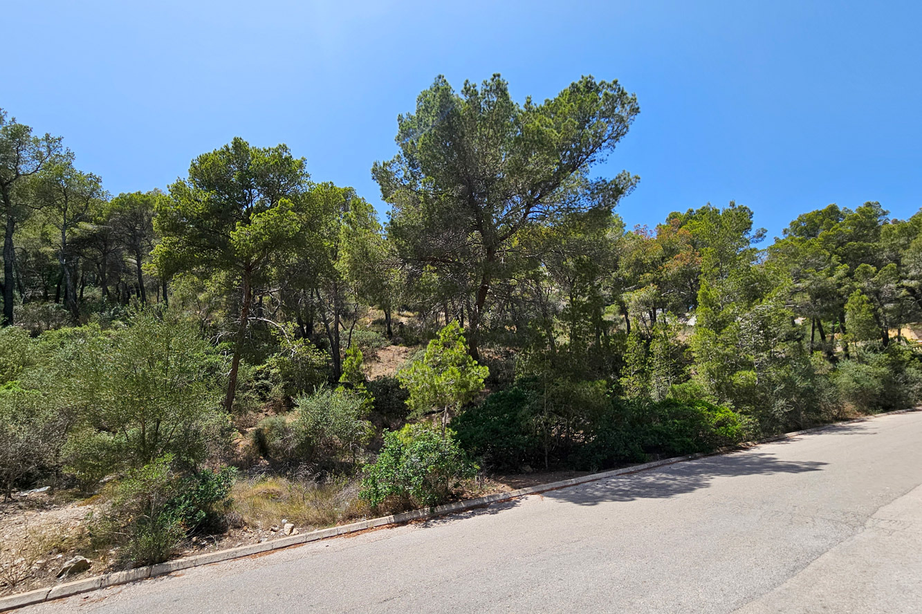 Grundstück, Port Andratx