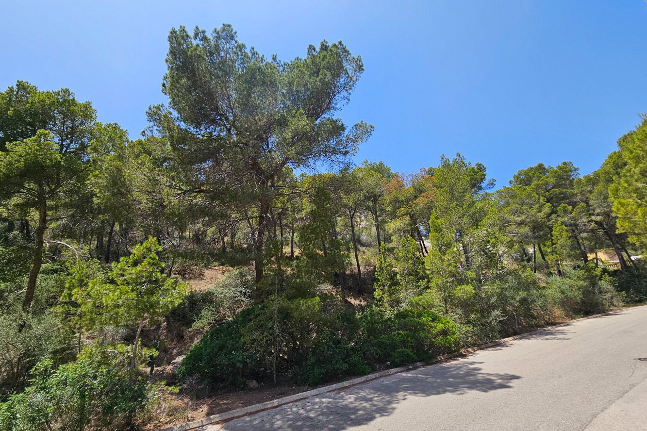 Grundstück, Port Andratx