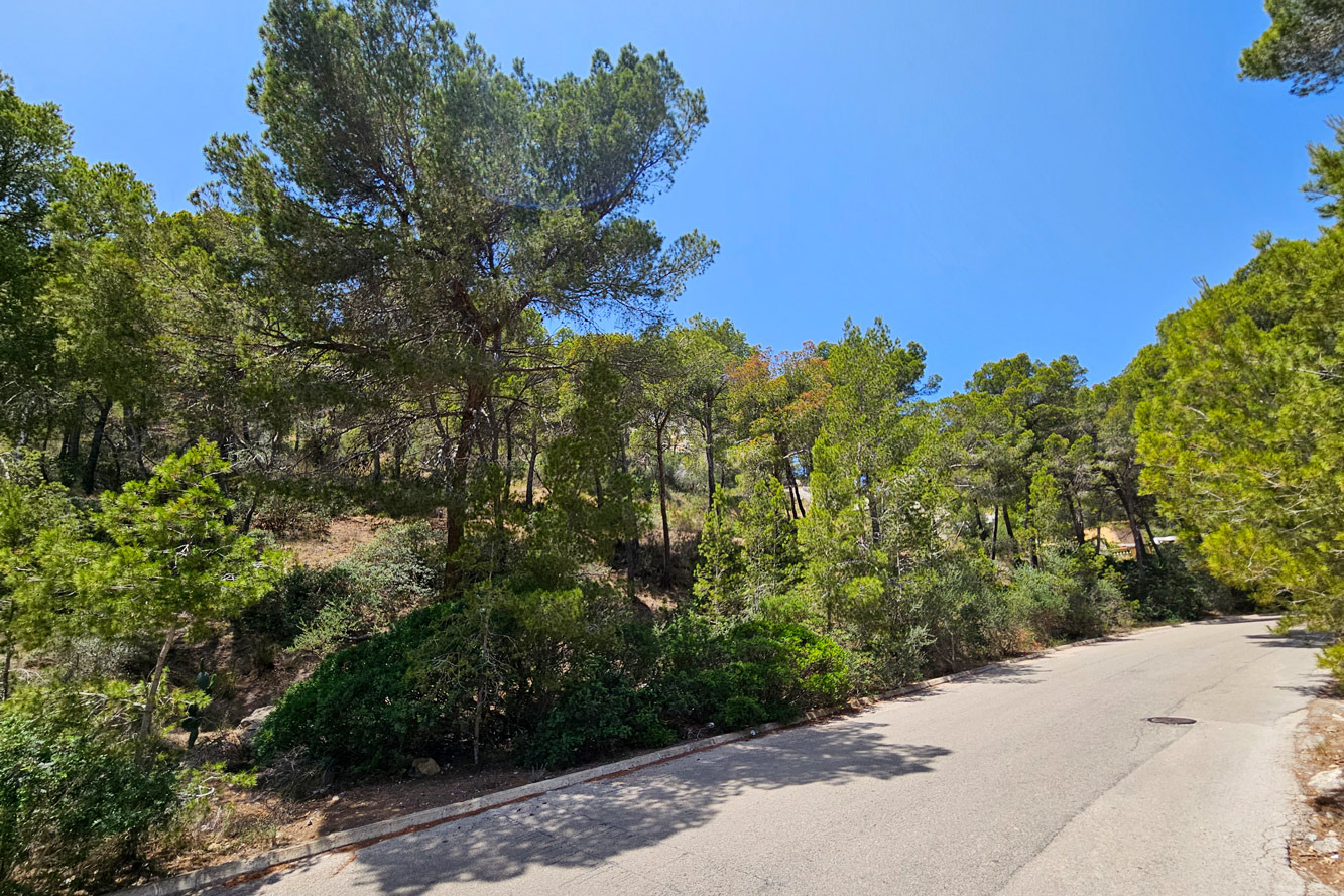 Grundstück, Port Andratx