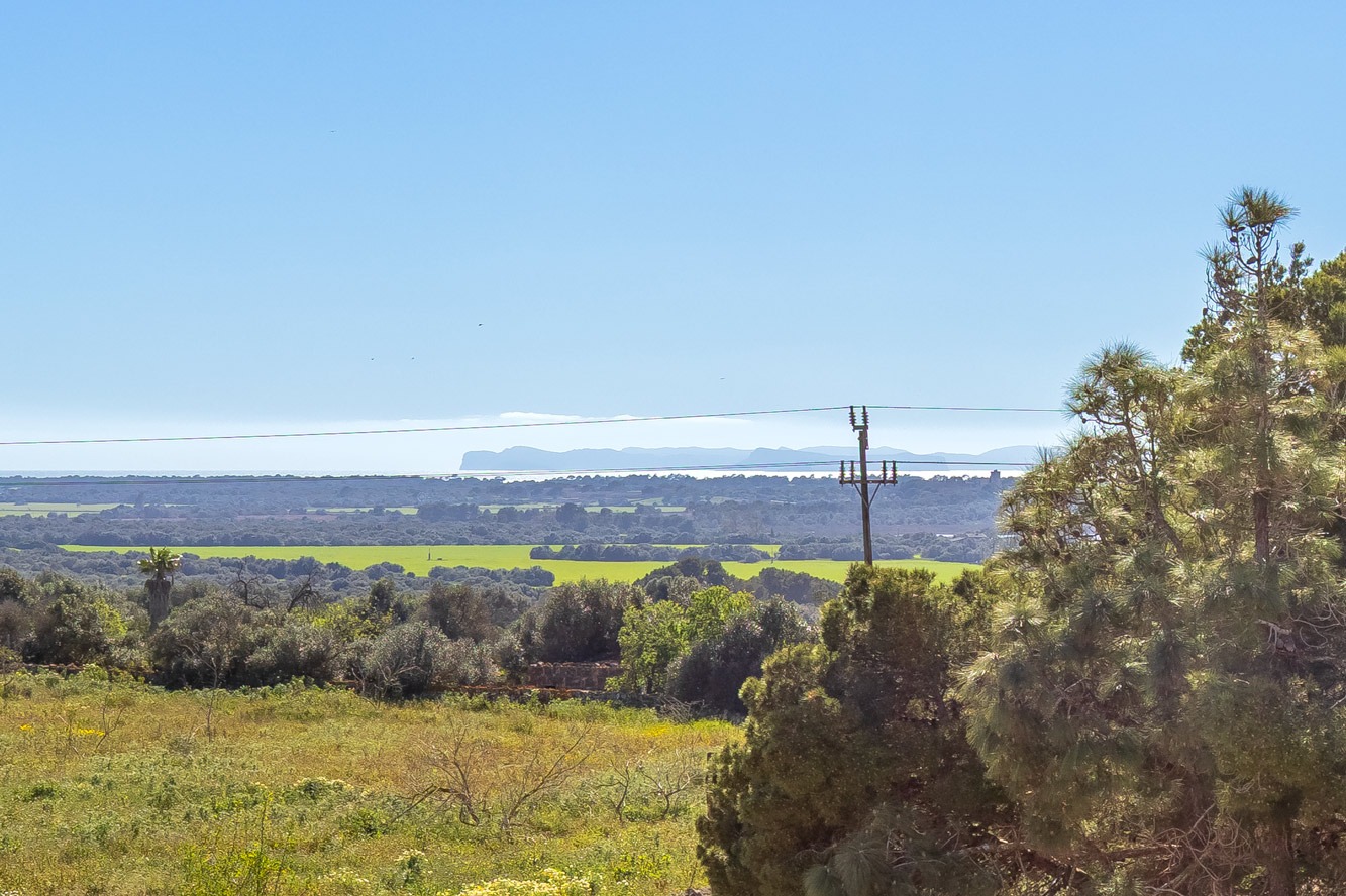 Penthouse, Ses Salines