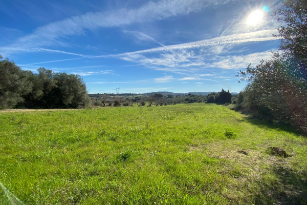 Baugrundstück mit eingereichtem Bauprojekt nahe dem Ort Muro im Norden Bild 5