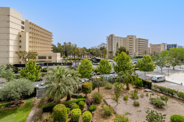 Moderne Wohnung in strandnaher, zentraler Lage in Palmanova Bild 7