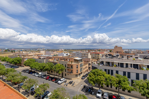 Apartment mit herrlichem Meerblick nahe der Strandpromenade in Portixol Bild 6