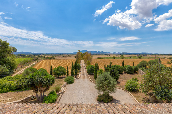 Schöne Finca mit viel Land zwischen Felanitx und Vilafranca Bild 7