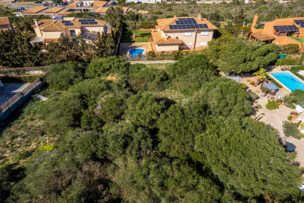 Baugrundstück in erhöhter Lage mit Weit-Meerblick in die Bucht von Palma Bild 2