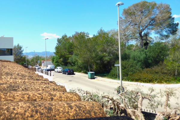 Traditionelle mediterrane Villa mit Pool in Portol nahe Palma Bild 12