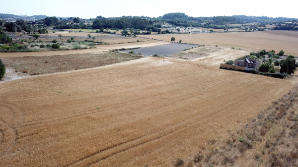 Exklusives Neubau-Landhaus in der Inselmitte Mallorcas Bild 10