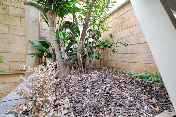 Hochmoderne Meerblick-Wohnung in Puerto Portals Bild 10