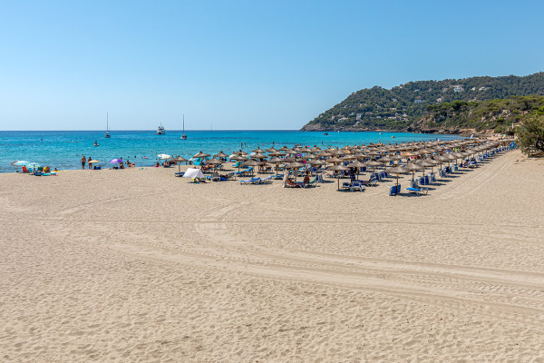 Moderne Neubauwohnungen nah am Strand in Canyamel Bild 7