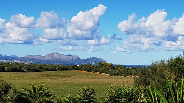 Finca in ruhiger Lage nahe Santa Margalida Bild 9
