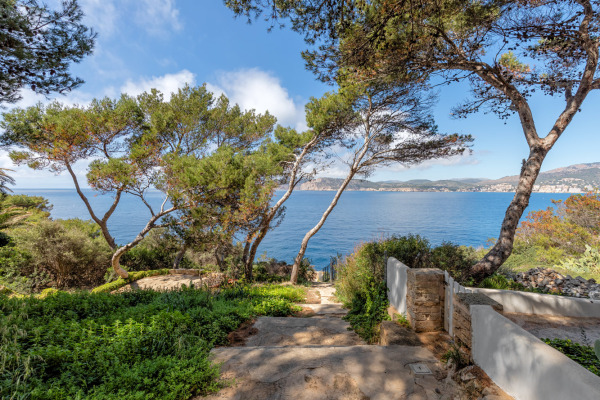 Großzügiges Penthouse in erster Meereslinie von Santa Ponsa Bild 2