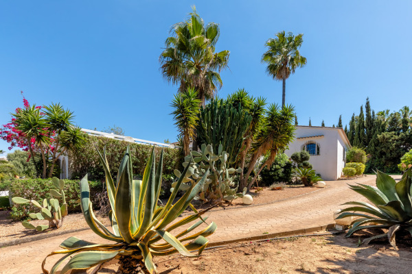 Villa im mediterranen Stil mit viel Potenzial im Südwesten Mallorcas Bild 12
