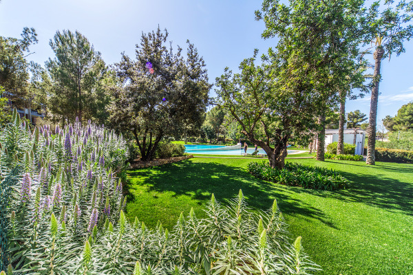Penthouse-Wohnung in Bendinat in der Nähe des Golfplatzes Bild 2
