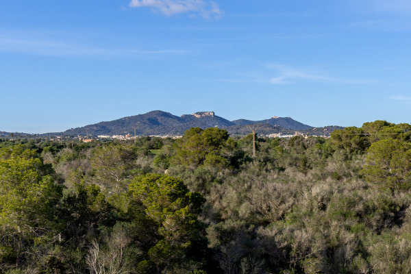 Modernes Apartment nah am Naturhafen von Cala d'Or Bild 12
