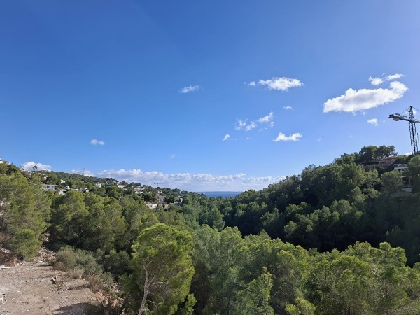 Moderne Neubauvilla in ruhiger Lage von Costa d'en Blanes Bild 5