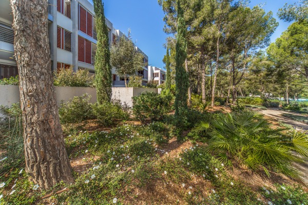 Geräumiges Apartment in moderner Wohnanlage am Golfplatz Bendinat Bild 12