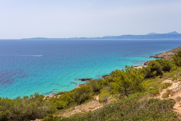 Neubauvillen in moderner Architektur mit Teilmeerblick Bild 6