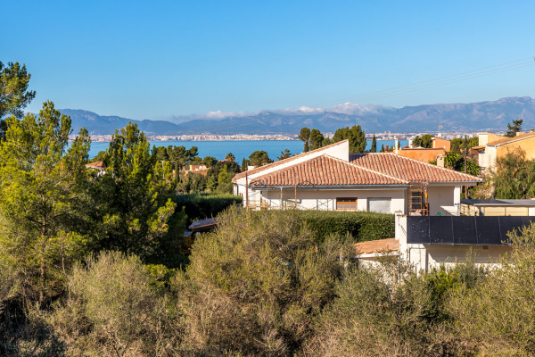 Baugrundstück in leicht erhöhter Lage in Cala Blava Bellavista Bild 2