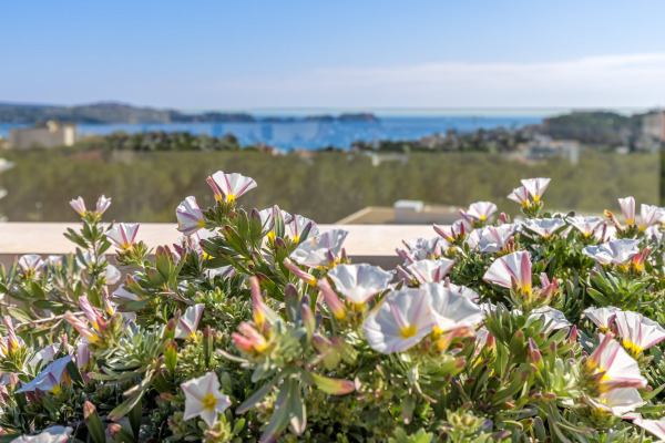 Sa Puntassa: Neubau Apartmentanlage der Luxusklasse im Südwesten Bild 6