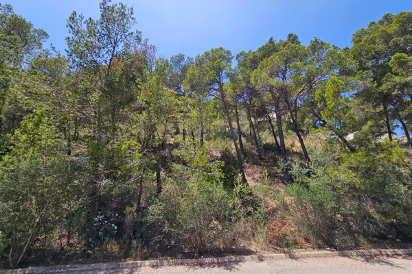 Großes Baugrundstück mit Meer- und Hafenblick in ruhiger Lage Bild 2