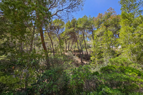 Großes Baugrundstück mit Meer- und Hafenblick in ruhiger Lage Bild 3