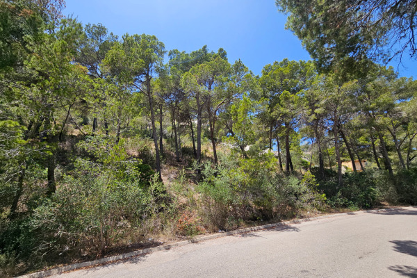 Großes Baugrundstück mit Meer- und Hafenblick in ruhiger Lage Bild 4