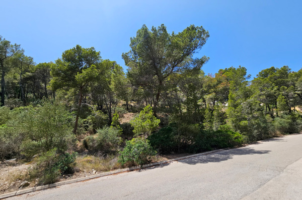 Meerblick-Baugrundstück mit Projekt für eine moderne Villa in Port Andratx Bild 5