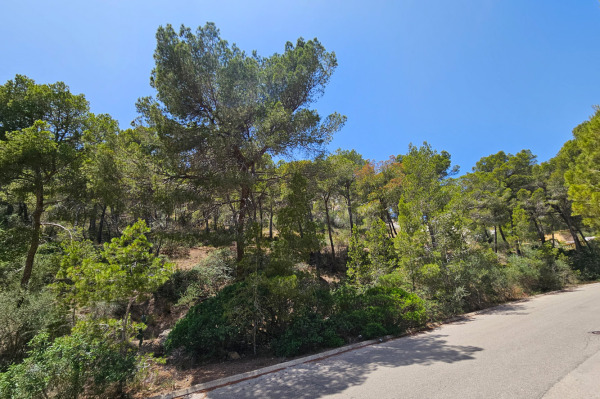 Meerblick-Baugrundstück mit Projekt für eine moderne Villa in Port Andratx Bild 6