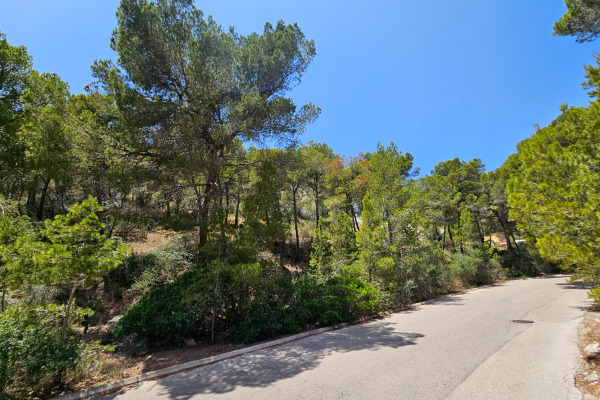 Meerblick-Baugrundstück mit Projekt für eine moderne Villa in Port Andratx Bild 7