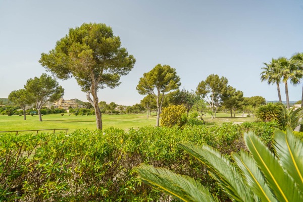 Erdgeschosswohnung in der Anlage Forat 19 am Golf von Santa Ponsa Bild 9