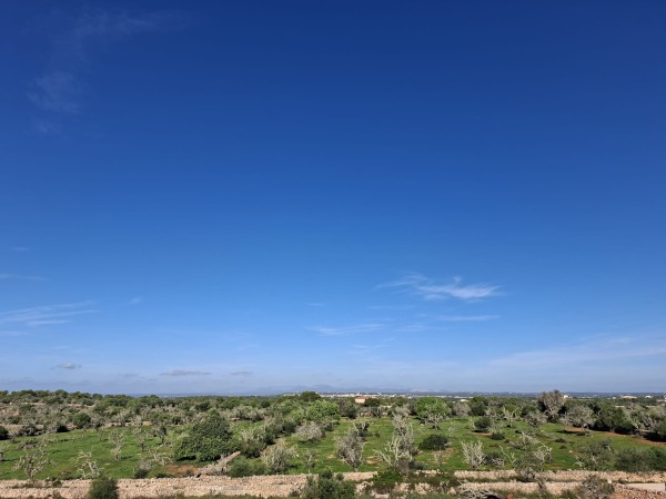 Naturstein Neubaufinca mit herrlichem Panoramablick bei Ses Salines Bild 5