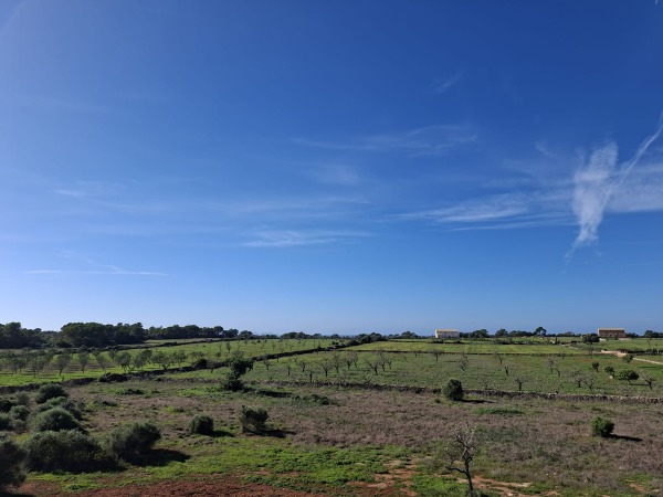 Naturstein Neubaufinca mit herrlichem Panoramablick bei Ses Salines Bild 6