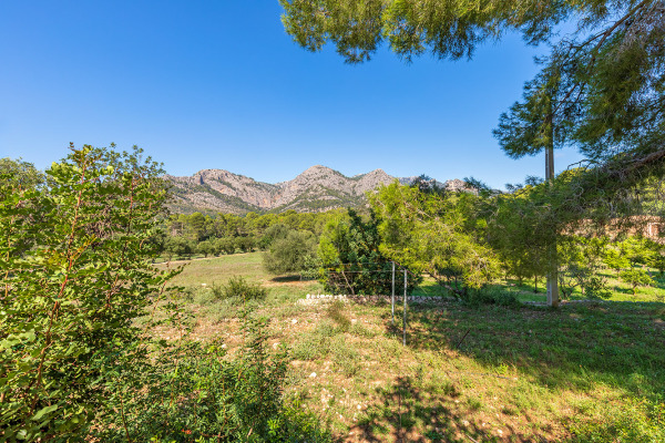 Großes und exklusives Grundstück mit landwirtschaftlichen Möglichkeiten Bild 2