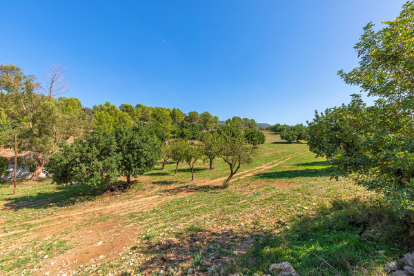 Großes und exklusives Grundstück mit landwirtschaftlichen Möglichkeiten Bild 3