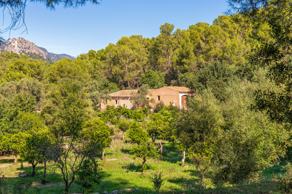 Großes und exklusives Grundstück mit landwirtschaftlichen Möglichkeiten Bild 5