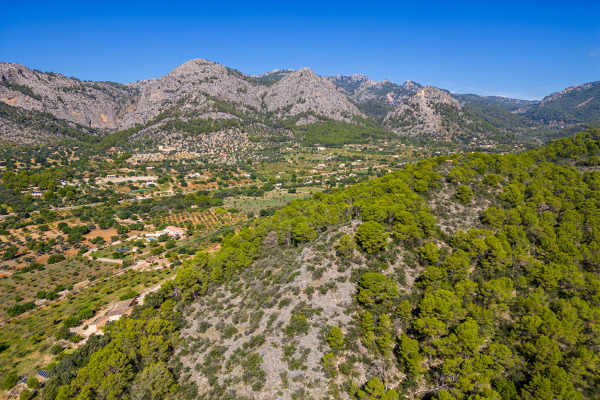 Großes und exklusives Grundstück mit landwirtschaftlichen Möglichkeiten Bild 6