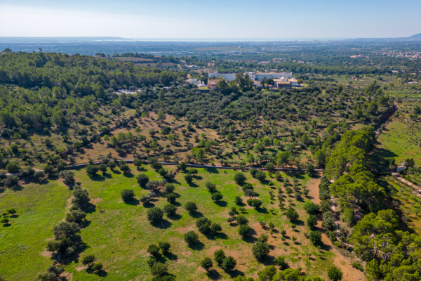 Großes und exklusives Grundstück mit landwirtschaftlichen Möglichkeiten Bild 7