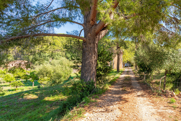Großes und exklusives Grundstück mit landwirtschaftlichen Möglichkeiten Bild 8