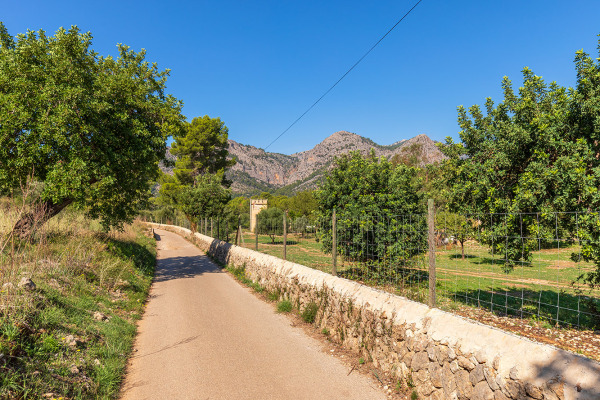 Großes und exklusives Grundstück mit landwirtschaftlichen Möglichkeiten Bild 10