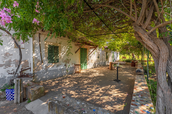 Großes und exklusives Grundstück mit landwirtschaftlichen Möglichkeiten Bild 12